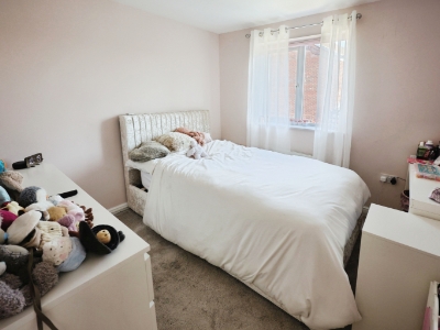 Picture 11